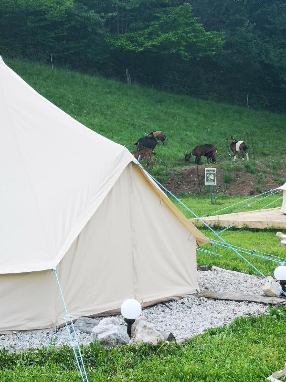 White Tent Mountain View In Camp Garden Park Hotel Radovljica Exterior photo